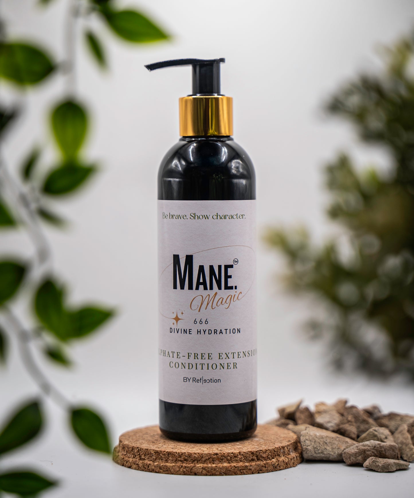 666 - Sulphate-Free Extension Conditioner