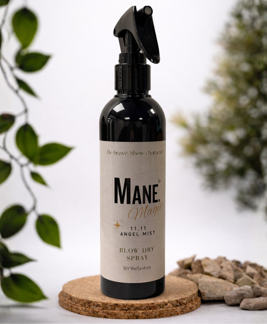 11.11 - Blow Dry Spray